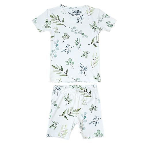Copper Pearl Two Piece Short Sleeve Toddler Pajamas PJ Sets for Boys and Girls - Adorable Pattern Summer Pajamas Shorts to Keep Cool While Sleeping, Size 12 Months to 5T - Haven