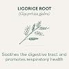 Traditional Medicinals Tea, Organic Licorice Root, Soothes the Digestive Tract & Promotes Respiratory Health - Kosher, Non-GMO, Caffeine-Free - 96 Tea Bags (6 Pack)