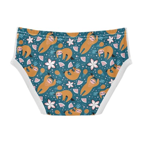 Boys' Underwear Cotton Little Boys Cute Sloths Briefs Soft Toddler Underwear 2T-8Y2