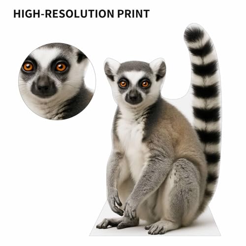Image of Ring-Tailed Lemur 3FT Life Size Cardboard Cutout - A Fun Animal Standup for Photo Booths, Birthday Parties, and Events