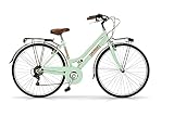 Bicicletta taglia 28