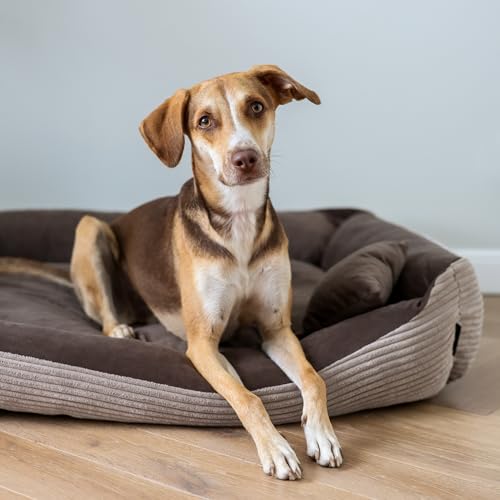 4L Textil Molly Hundebett Cord mittelgroße Hunde Hundekorb Hundekörbchen aus Cordstoff waschbar mit Bezug (80x60 cm, Braun)