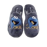 GARZON ZAPATILLA CASA PARQUET DESTALONADA MONSTRUO GALLETAS P373.275 HOMBRE