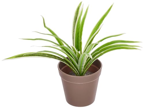 Image of amazon basics Artificial Plants with Pot| Dragon Grass| Lifelike Appearance | Durable Plastic | No Maintenance | Home Decor | Dimensions: 10 cm X 23 cm (Pack of 4)