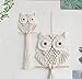 Achart Owl Macrame Wall Hanging-Hand Woven Boho Tapestry-Macrame Wall Decor -Owl Decor for Bedroom, Living Room, Nursery (Beige-L&S)