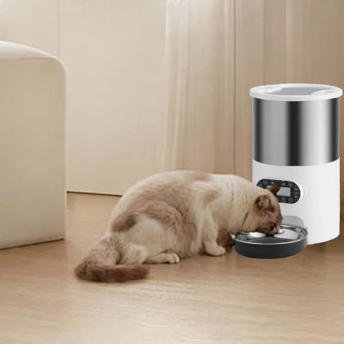 Distributeur automatique de nourriture chat 3L gamelle croquettes aliments secs
