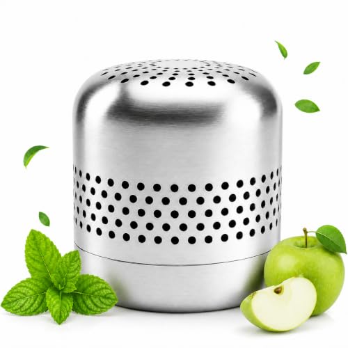 Freshcore Refrigerator Deodorizer – Nano-Catalytic Stainless Steel Odor Eliminator, Compact Fridge Deodorizer for Freezer, Car & Closet, Lasts 10 Years with Elimination & Grocery Freshness Extension