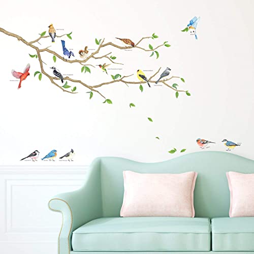 Decowall Dwl-2015 Garden Birds Wall Stickers Wall Decals Peel And Stick Removable Wall Stickers For Kids Nursery Bedroom Living Room thumb #5