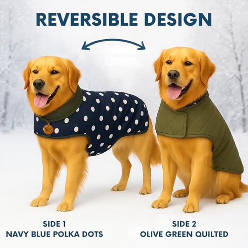 Image of Sage Square Dual-Sided Polka Dot Dog Jacket - Protective Cold-Weather Gear for Pets, Lightweight, Cushioned, Designed for Warmth & Comfort Indoors or Outside (Polka Navy Blue, XXL - 22 Inch)