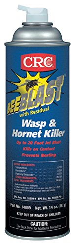 CRC Bee Blast with Residual Wasp and Hornet Killer