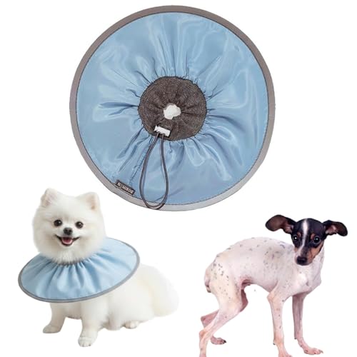 Lifetips{eA {eLp GUxXJ[ h \tg y pPA ی Ȃߖh~ p EȒP 􂦂 PAJ[(xr[u[j(Lj