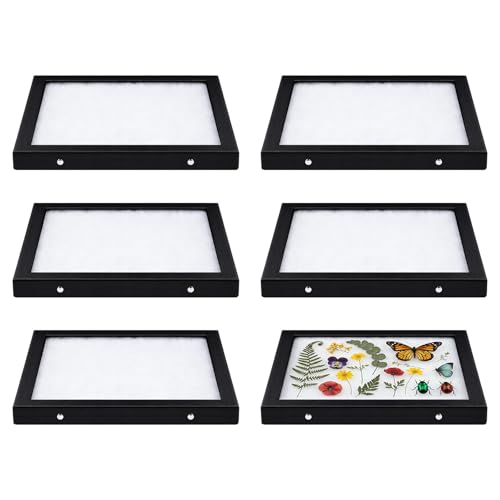 Colingmill 6 Pack 5 x 6 x 3/4 Inch Glass Top Riker Display Cases PU Leather Large Collectibles Display Cases for Collectibles Jewelry Pins Medals