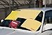 (3 Pack) Car Drying Towel Chamois + Microfiber Cloth by CARFIDANT (LARGE 3pcs Kit) - For Car Washing and Automotive Drying and Detailing - Includes Large & Medium Shammy + Microfiber Cleaning Cloth!
