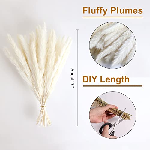 Alishomtll 25 Piece Natural Dried White Pampas Grass #TOP27