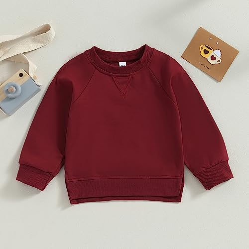 Toddler Baby Boy Girl Clothes Solid Color Crewneck Sweatshirt Long Sleeve Pullover T Shirt Tops Fall Winter Outfit2