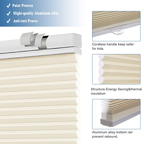 Pumkust Custom Size Cordless Top Down Bottom Up Cellular Shades For Windows(Fits Windows22-68), Light Filtering Blinds With The Diameter Of 1.5" Honeycombsfor Home, Thermal Insulated, Beige #TOP4