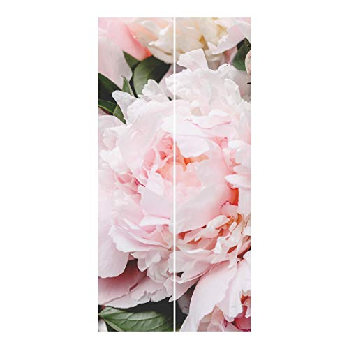 Bilderwelten Cortinas deslizables - Pink - 2 Paneles japoneses Montaje de Pared 250x120cm