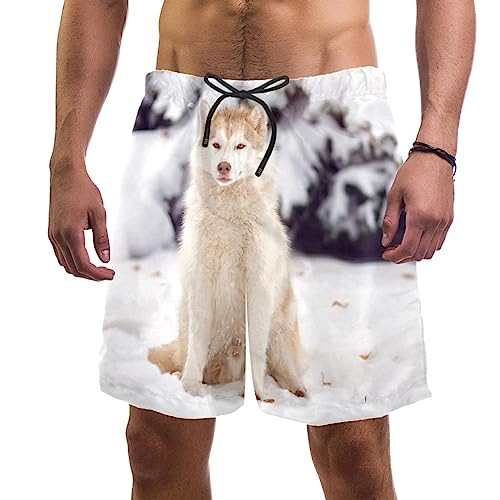 Maillots de bain pour hommes short de plage husky blanc séchage rapide