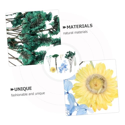 Flores prensadas naturales para manualidades 1 pack miniatura 6