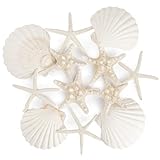 PPCLION 12 PCS Natural Starfish 4-5' and Scallop Shell for Crafts Making Beach Theme Party Wedding Decoration, Home Wall Decor, Christmas Ornaments