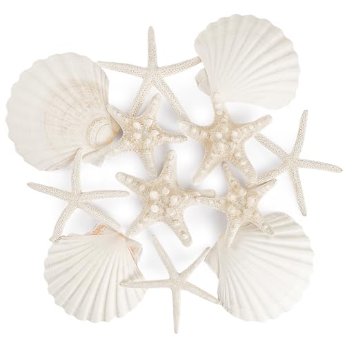 PPCLION 12 PCS Natural Starfish 4-5" and Scallop Shell for Crafts...