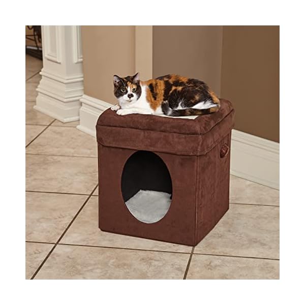 Midwest Curious Cat Cube, Katzenhaus/Katzenhaus – Bild 3