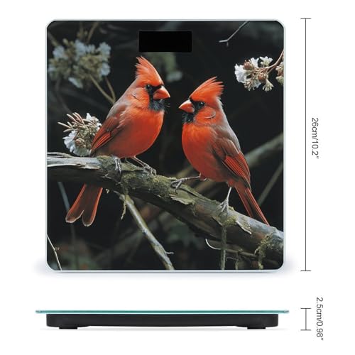 Báscula Digital de Cuerpo Cardinals Birds Fauna Wild miniatura 2