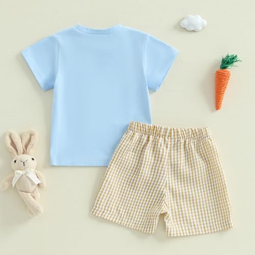 Image of Toddler Baby Boy Easter Rabbit Outfit Short Sleeve Bunny Carrot Smocked T-shirt Elastic Waist Shorts Summer Clothes