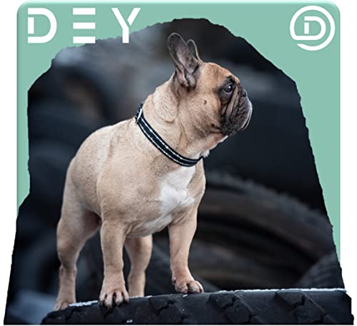 DEY - Premium Hundehalsband Nylon, Reflektierend, Verstellbar, für Kleine u. Große Hunde, viele Farben u. Größen, Hund Welpe, Hunde-Halsbänder, Katzen-Halsband, Welpen-Halsband, Grün, S
