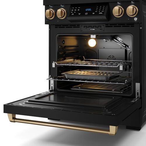 Image of Gordon Ramsay by THOR Kitchen 30 Inch Professional Gas Range with Tilt Panel Touch Control in Black /Bronze