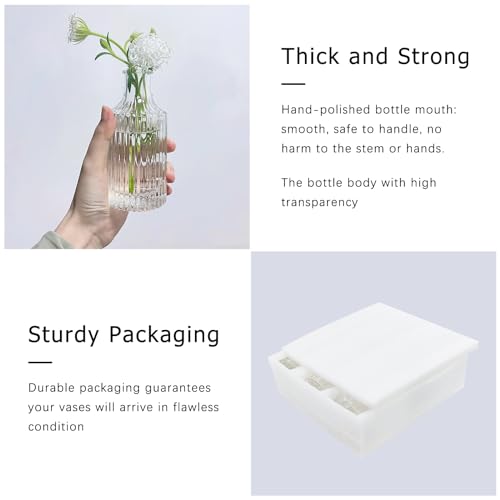 image for SUPMIND Glass Bud Vase Set of 5, Clear Small Flower Vases for Centerpi