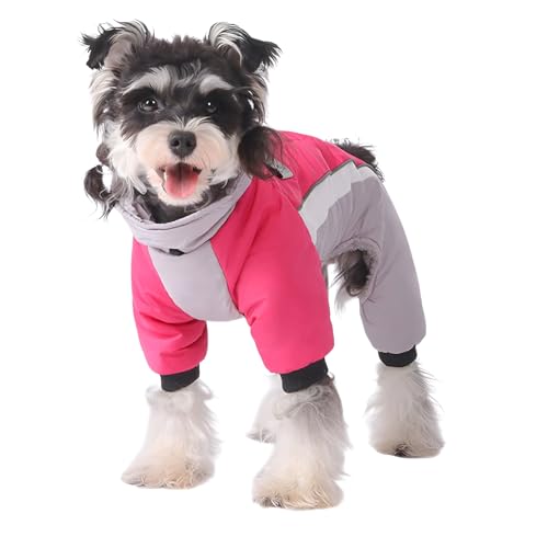 [mocoly] _EWPbg  H~ ̌^hR[g ڕty3bւ SgIzk?n ȕ g h ΍ WPbg ˃e[v S y h h h p\ EȒP ^ ^ Č U