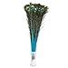 Peacock Feathers,Hgshow 25 Pcs Bleached & Dyeing Feather Long Pole 28-30 inches