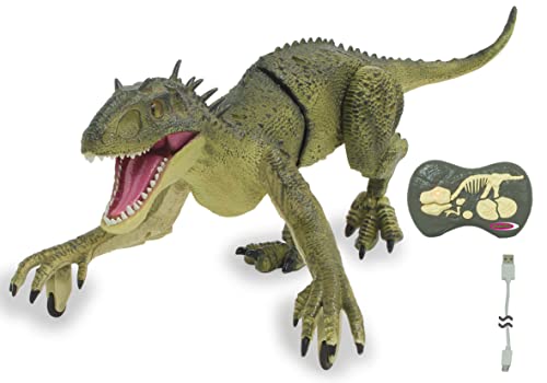 JAMARA Dinosaurier Exoraptor Li-Ion 3,7V 2,4GHz - Vorderfüße auf 2 Rollen, bewegliche Teile, realistisches Dinosauriergebrüll, ferngesteuert RC