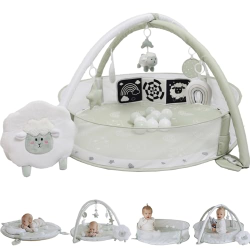 Image of Aila+Aiden 6-in-1 XL Play Mat & Play Gym, Baby Gym, Baby Activity Gym, Sensory Exploration and Motor Skill Development Toys (Sage)