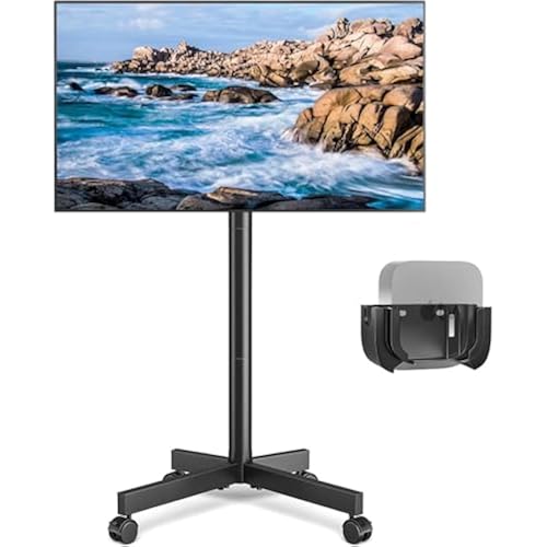 Rfiver Mobile TV Cart Rolling TV Stand for 23-65 Inch Screens (Black)