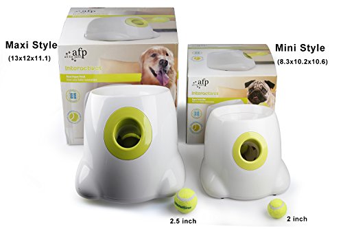 all for paws hyper fetch maxi