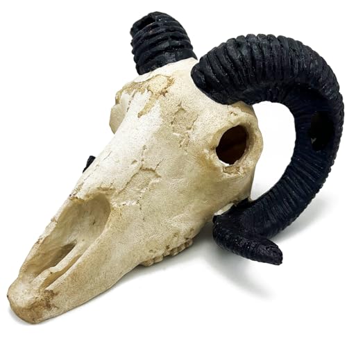 Image of Fish Aquarium Tank Hideout Decor Decorations Dinosaur Skull Fish Tank Decor Cave Skull Betta Animal Halloween Large Reptile Bones Snake for Terrarium Ornament