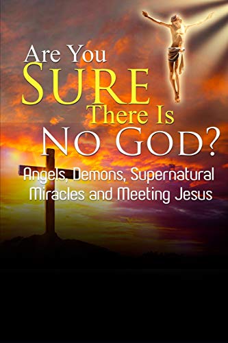 Are You Sure There Is No God?: A book of miracles including my warning from Jesus himself