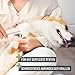 ReaVET Krallenschere für Hunde & Katzen - Inklusive Krallenfeile & Abstandshalter I Edelstahl Krallenzange zur Krallenpflege, Krallenschneider I Nagelschere Nagelknipser Hund