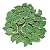1.1LB Random Iridescent Leaves Ceramics Mosaic Tiles, Making Creative 3 Size Ceramic Mosaic Pieces for DIY Craft,Flowerpots, Vases, Cups, Garden Decor Mosaic Making Supplies (Green)