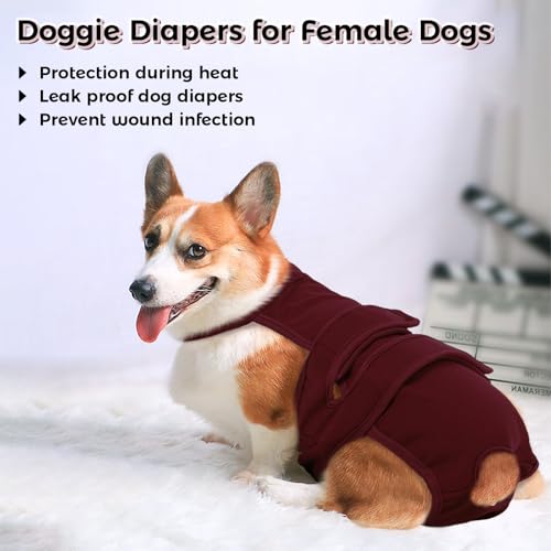 Image of QBLEEV Female Dog Diapers with Adjustable Suspenders - Washable Sanitary Panties for Dogs in Heat or Incontinence, Escape-Proof Reusable Pet Period Underwear Onesie for Small to Large Breeds