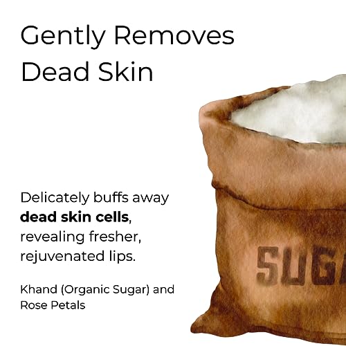 Noor Skincare Rose Lip Scrub for Dark Lips, Bright and Smoky Removal, Exfoliator for Women/Men (15g)