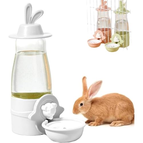 Vlfn ݂艺  ݊ P[Wp ݂̂݊ e 600ml Rh~ e ݊ u^ ԑΉ G܂ ETM  lWŒ  d͐݌v ␅ dCsv ݂艺 ݂̂݊ `` bg 