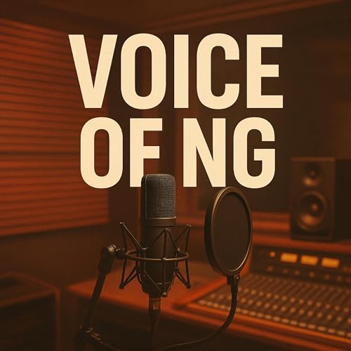 Voice Of NG - NIKhil Gatlewar cover art