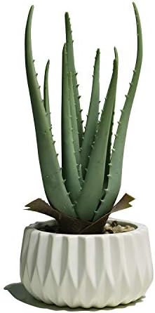 Suntimber Artificial Fake Plant Decor,Aloe Faux Plants in Elegant Ceramic Pot for Bathroom Shelf Decor, Desk Plant for Home & Office Decor - Artificial Fake Succulent Potted