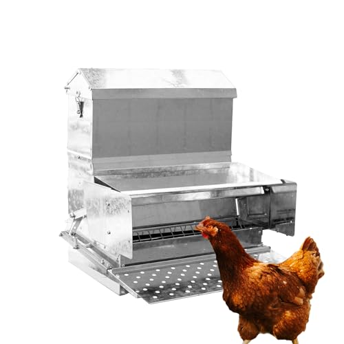 RentACoop Treadle Feeder Review: Worth the Money Only If You Fight Rats