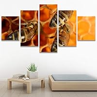 SIGNWIN 5 Panel Canvas Wall Art Modern Art Ants Butterfly Colorful Insects Minimalist Multicolor Photography for Home Decorations Ready to Hang - 60