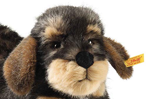 Steiff Moritz Rauhaardackel - 30 cm - Kuscheltier für Kinder - Plüschhund - weich & waschbar - dunkelgrau gespitzt - (076985)