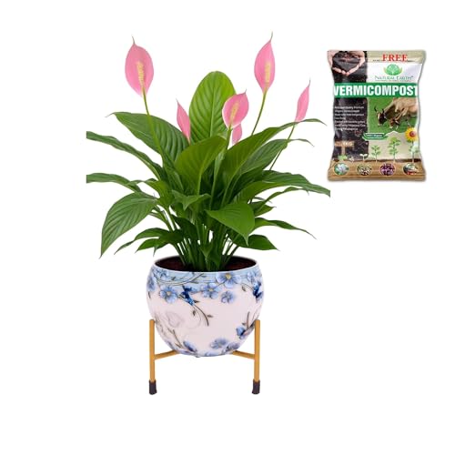 Image of NATURAL EARTH Metal Flower Pot & Stand with Free 1 KG Organic Vermicompost Fertilizer | Decorative Indoor Outdoor Plant Pot | Artsy White Floral Planter for Home & Garden Decor